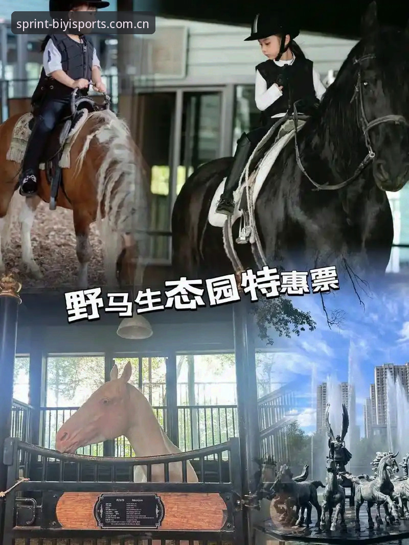 必一体育官网深度评测：从下载链接到全生态体验的全面分析报告