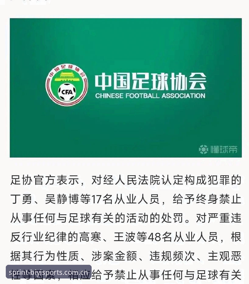 必一体育怎么注册 足协第三批禁足名单深度解析:17人终身禁赛背后的5大关键点